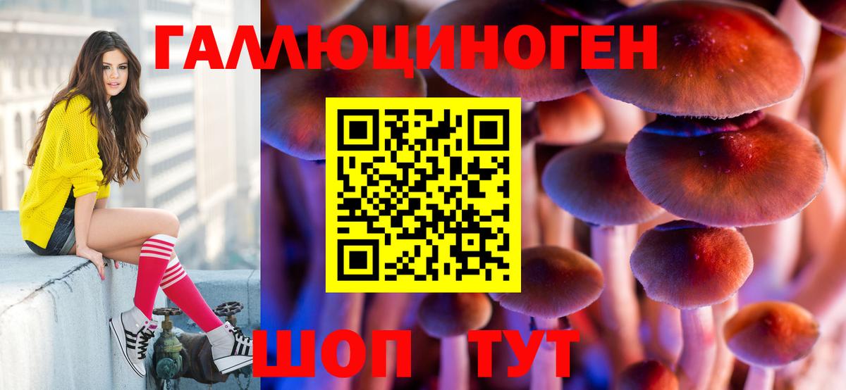 Гусиноозёрск  Псилоцибиновые грибы мухоморы  Вход с VPN 
